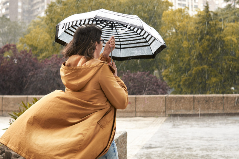 Une femme tient un parapluie