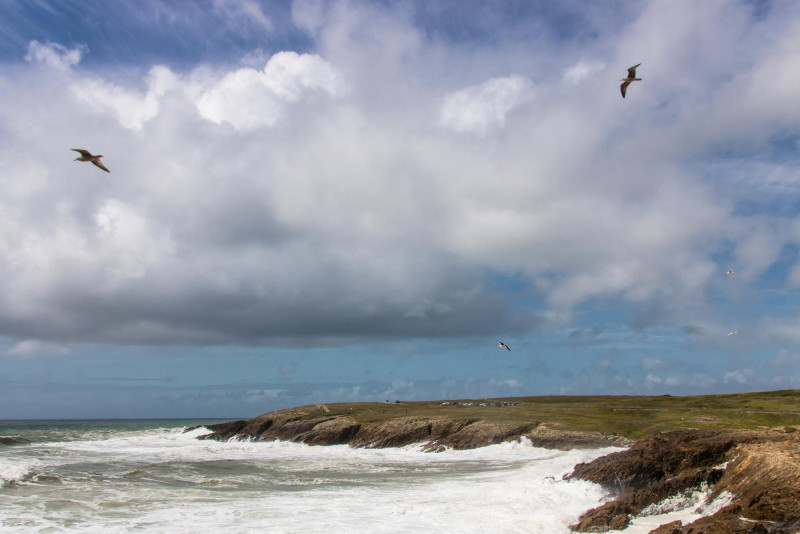 Côte de Normandie