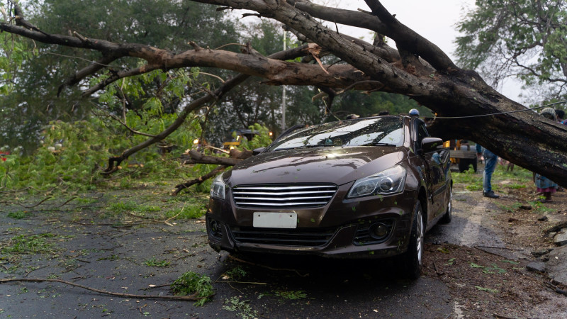 Un arbre abattu par le vent sur une voiture
