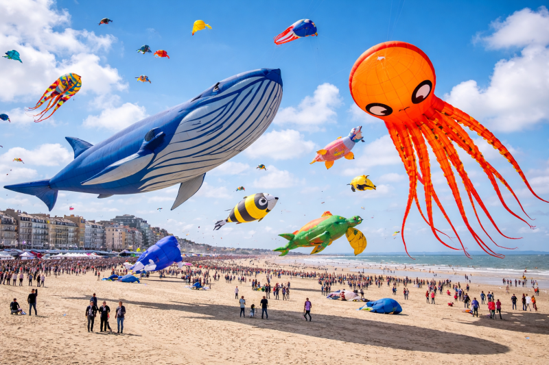 De gros cerfs-volants sur la plage de Berck