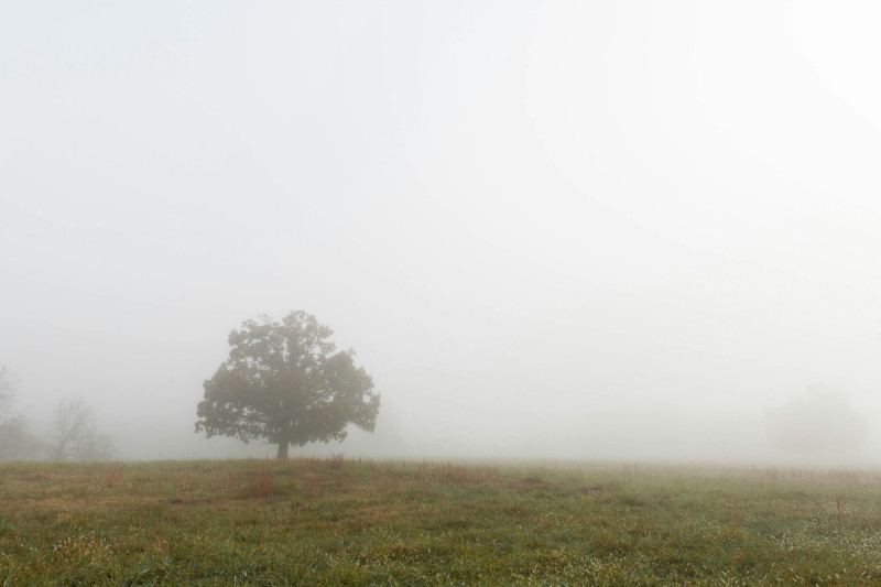 brouillard
