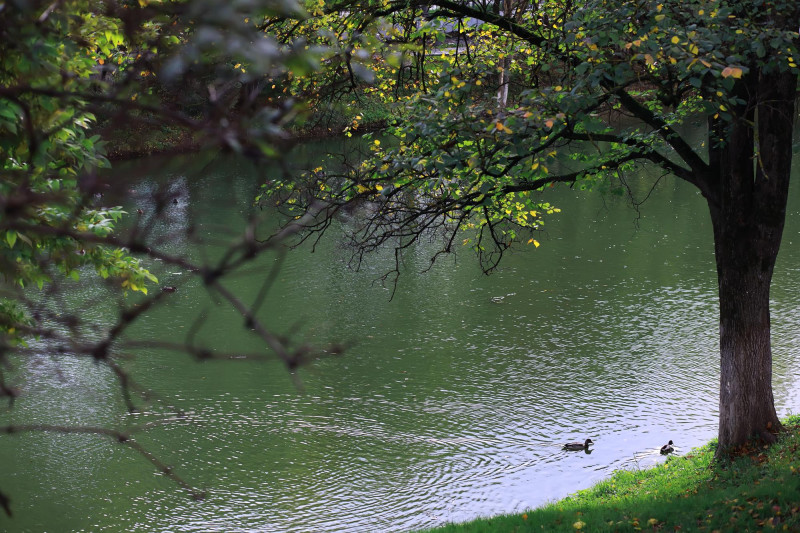 Météo Grand Est dimanche 3 mai : grisaille, averses et vent soutenu
