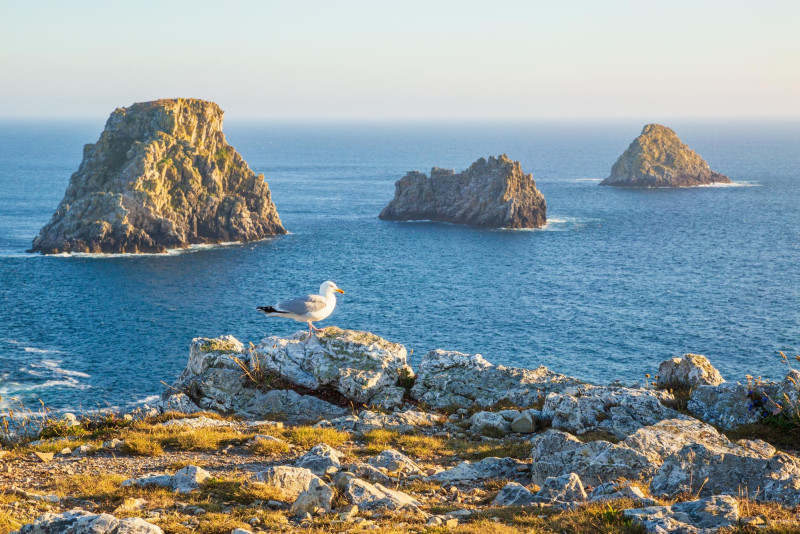 Finistère, Morbihan ou Côtes-d’Armor : Quel coin de Bretagne est fait pour vous ?