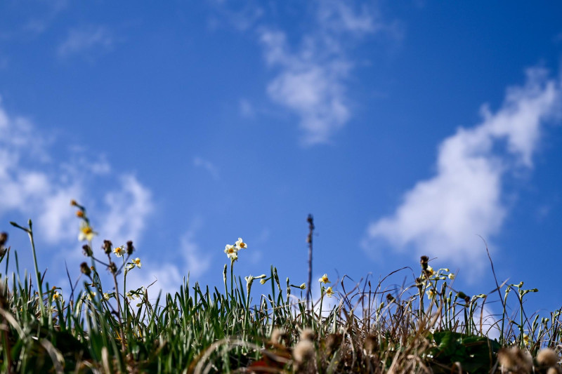 Météo 10 jours Pays de la Loire : nos prévisions détaillées pour anticiper la semaine prochaine