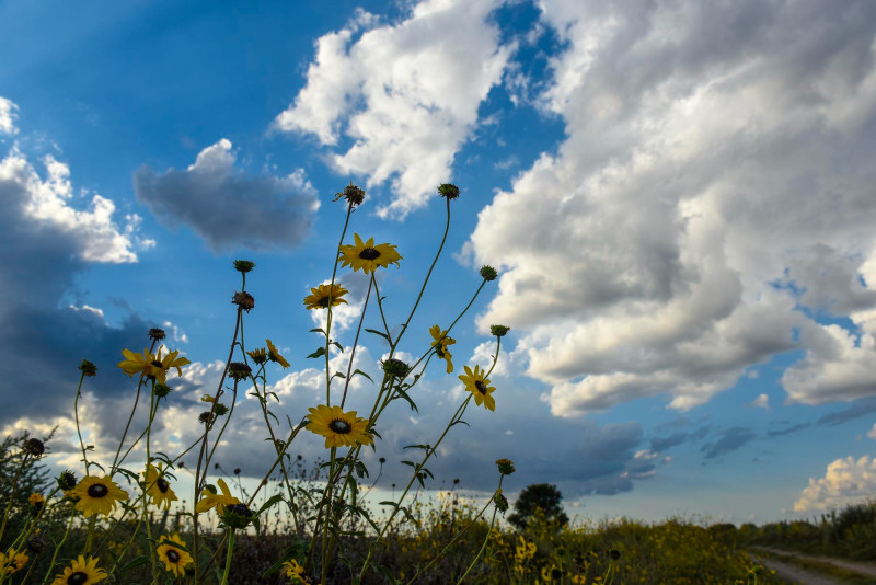 Météo 10 jours en Corse : nos prévisions, entre éclaircies, douceur et épisodes instables