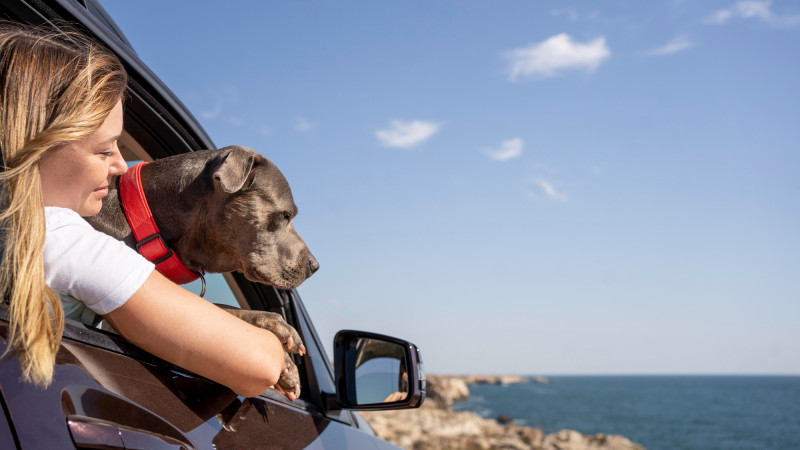 Une femme en voiture avec son chien