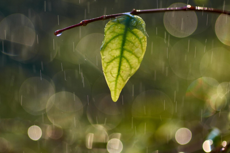 Attention au vent mercredi en Bretagne, le temps sera instable