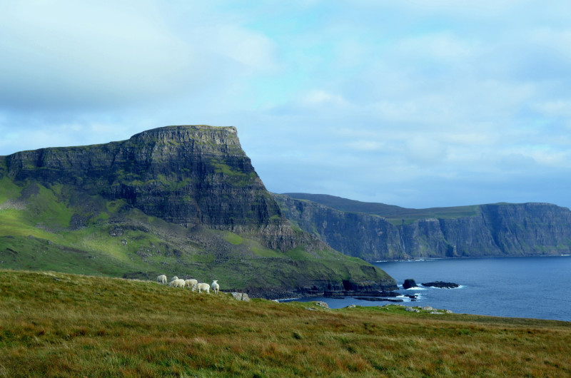 Eigg, cette île d'Écosse rachetée par ses habitants où seuls quelques milliers de touristes peuvent se rendre