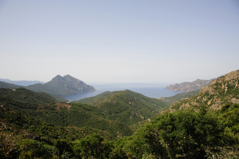 corse