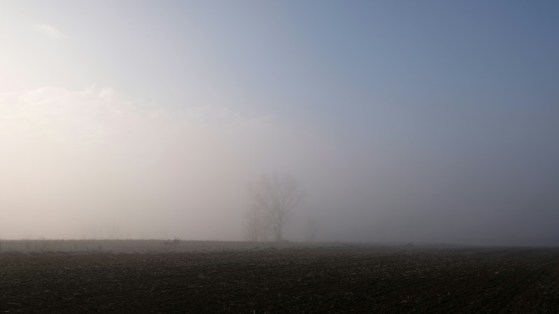 brouillard