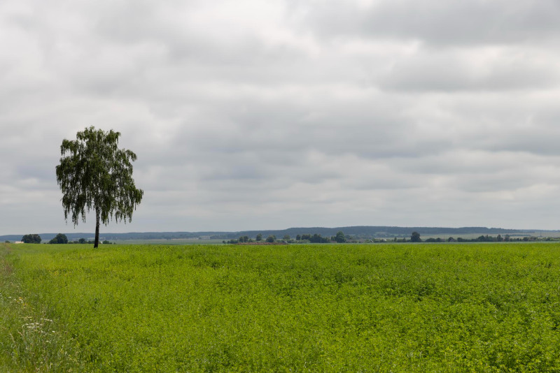 Météo Auvergne-Rhône-Alpes : un long weekend de 1er mai sous le vent et les contrastes