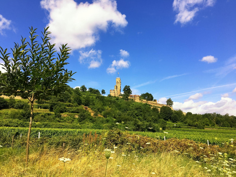 Météo Occitanie : nuages samedi, soleil dimanche !