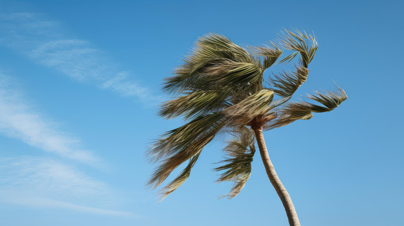 Rafales à 120 km/h et orages : les zones où le vent va souffler en France le weekend du 1er mai