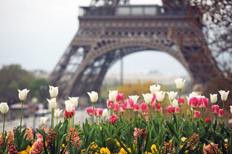 Météo Île-de-France : un week-end doux à savourer