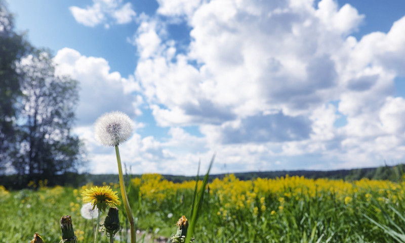 Nos prévisions météo à 10 jours dans le Centre-Val de Loire