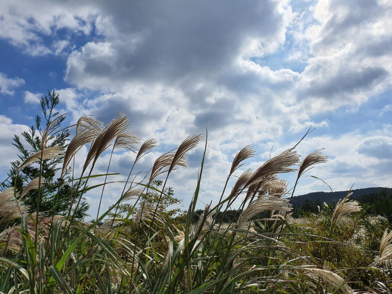 Météo demain en Bourgogne-Franche-Comté : mercredi 22 avril, à quoi vous attendre ?