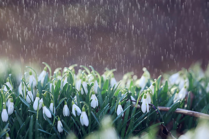 Après le soleil, la météo en France va basculer à cette date