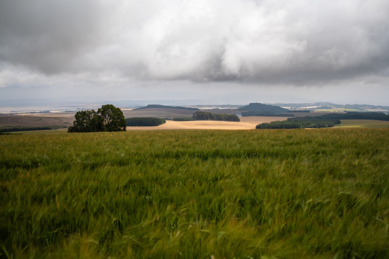 Météo Nouvelle-Aquitaine : risque d'orage et passages pluvieux ce weekend du 1er mai