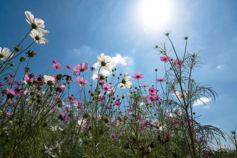 La météo pour samedi en Bourgogne-Franche-Comté