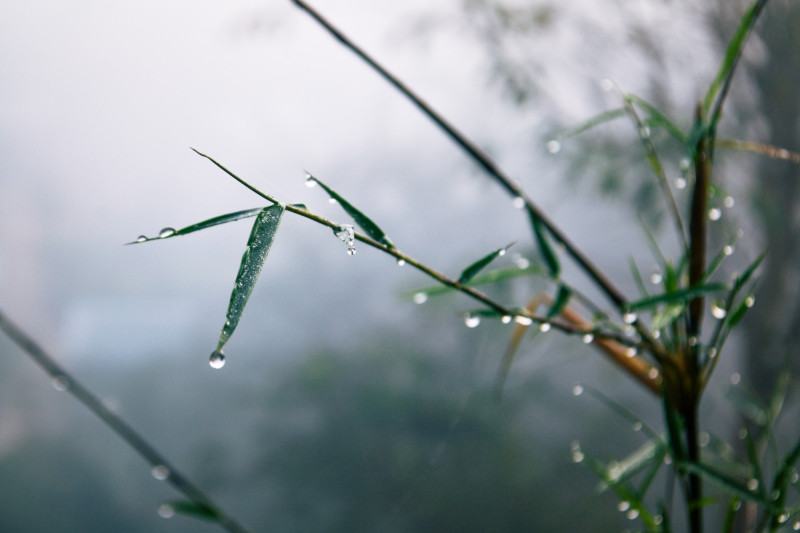 Météo Normandie dimanche 3 mai : entre nuages et éclaircies, vent modéré