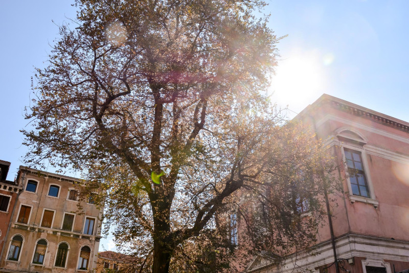 Météo Auvergne Rhône-Alpes, samedi 25 avril : soleil et douceur, vent modéré au sud
