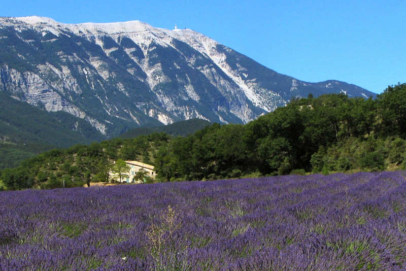 Provence — Wikimedia Commons