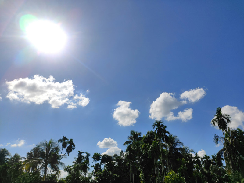 Sunny Sky. Shot on Redmi Note 10 Pro max. Mobile Photography.