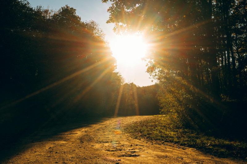 La lumière du soleil projette des rayons dorés sur un sentier forestier, évoquant chaleur et sérénité.