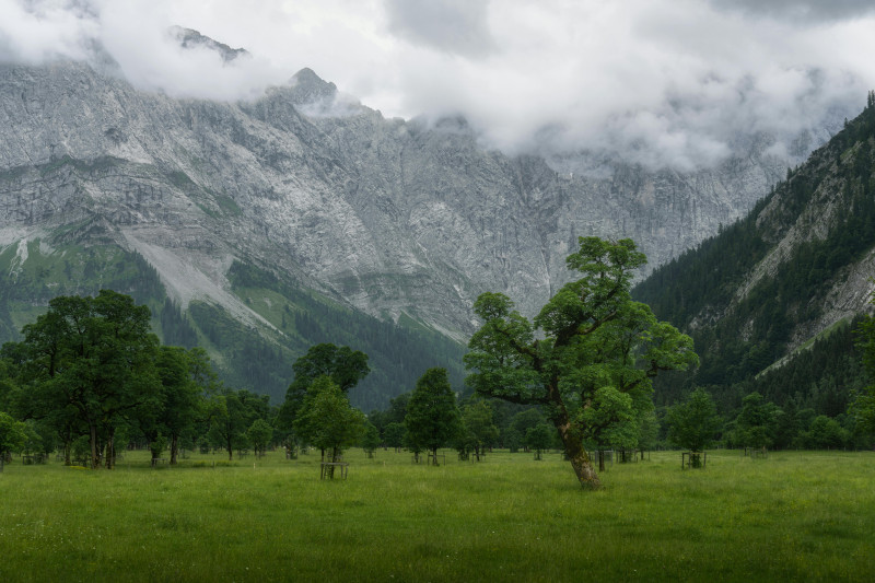Photos gratuites de alpin, arbres, autriche