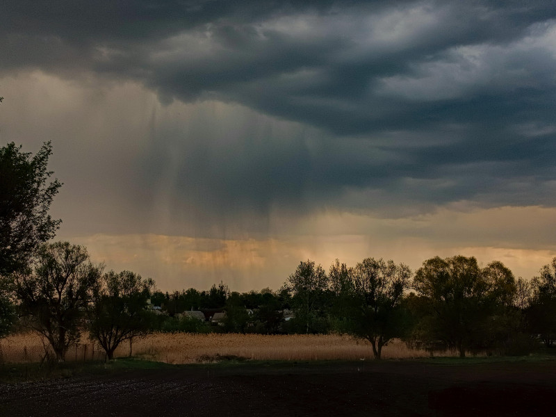 De sombres nuages d'orage s'amoncellent au-dessus d'un champ rural, laissant présager une pluie imminente. Capturee avec précision, cette scène évoque un changement climatique imminent.