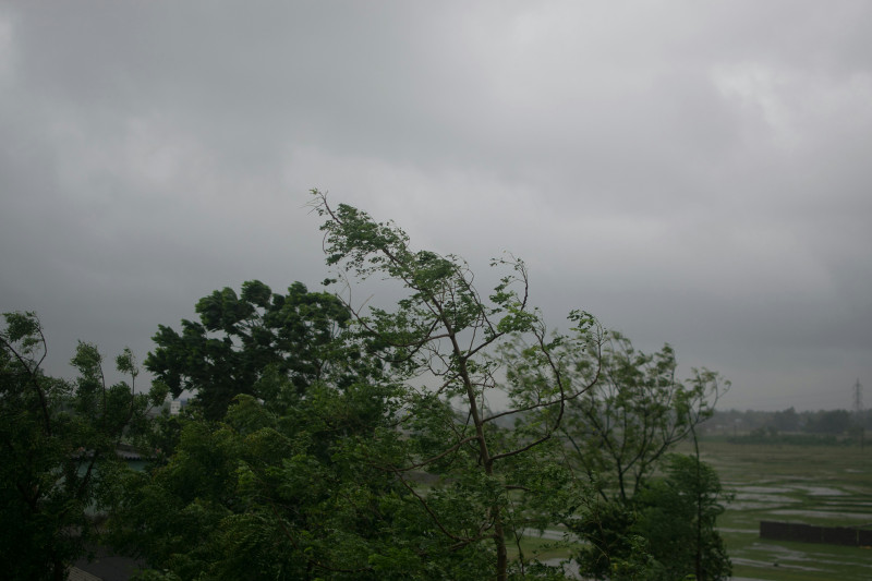 a view of a cloudy sky with trees in the foreground
