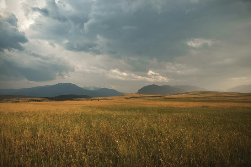 Meadow under heavy clouds