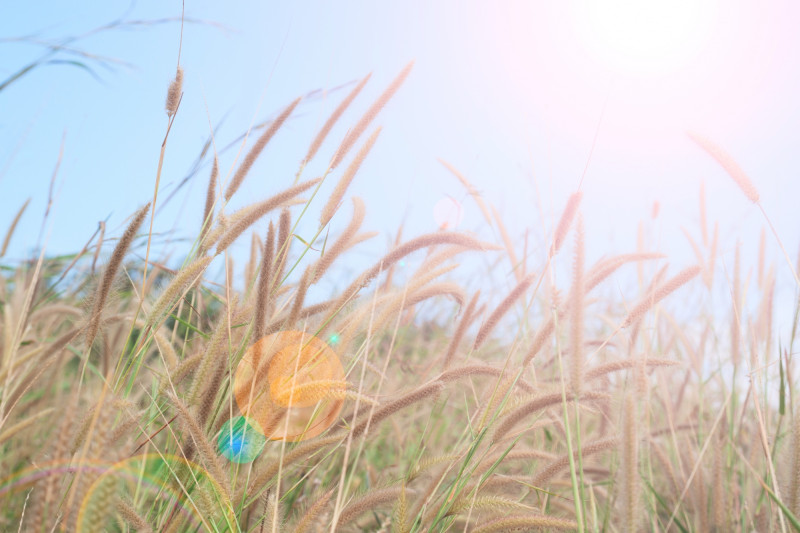 Le soleil va encore brûler ce mercredi en Bourgogne-Franche-Comté