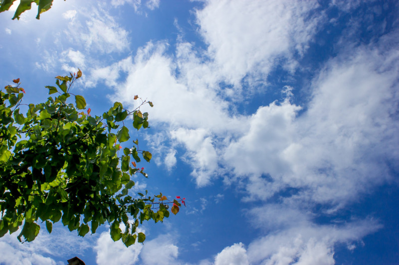 Météo Centre-Val de Loire : semaine du 18 au 22 mai, soleil et vents notables