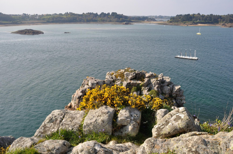17 lieux à ne surtout pas manquer si vous visitez la Charente-Maritime