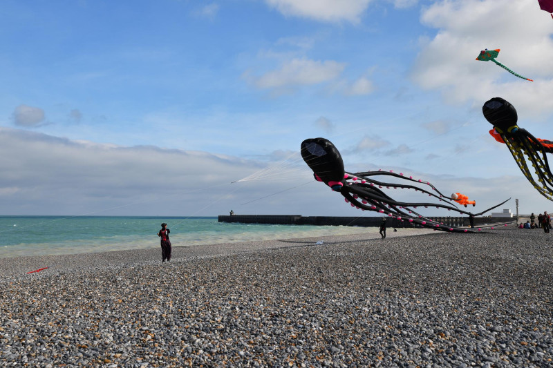 Dieppe : galets, falaises et coquilles Saint-Jacques