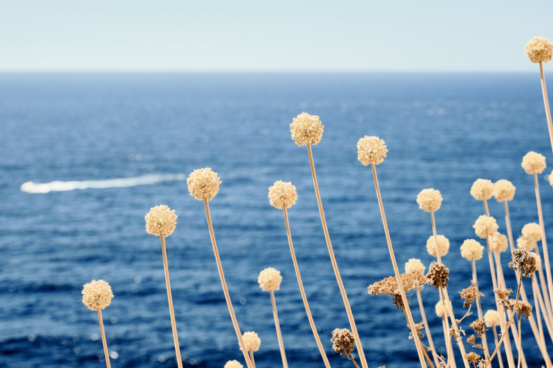 Soleil à profusion ce jeudi en Bretagne, découvrez jusqu'où vont grimper les températures