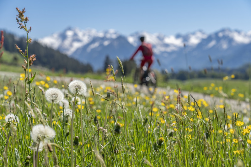 Pourquoi la montagne devient le nouvel eldorado autant pour les vacances d’été