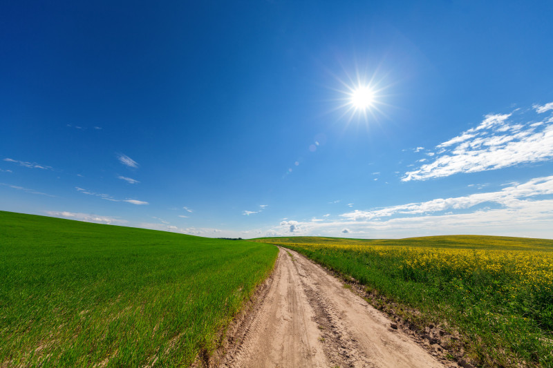 Grand Est : la semaine sera-t-elle aussi belle que ce weekend ?