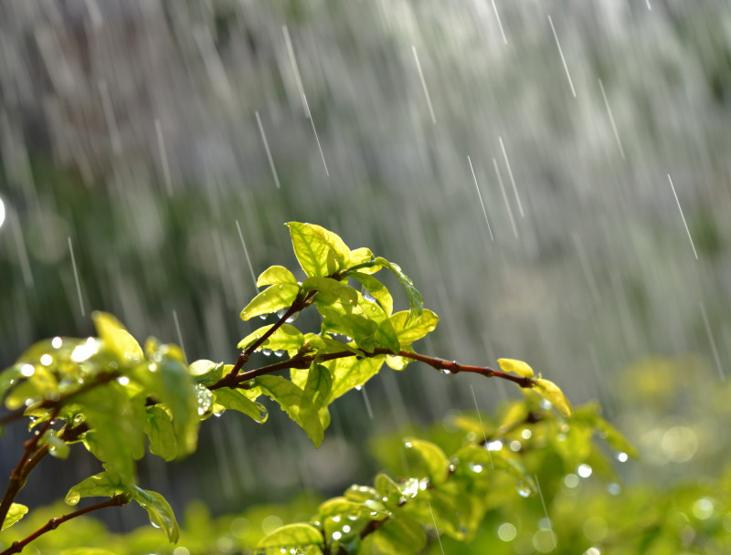 Météo Auvergne-Rhône-Alpes, mardi 5 mai : de la pluie dès le matin