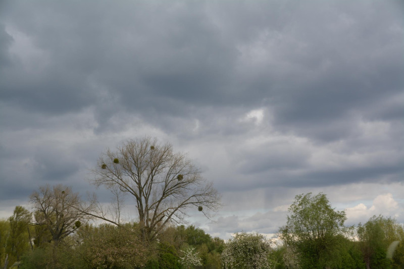 De la pluie annoncée mardi 5 mai en Bourgogne-Franche-Comté