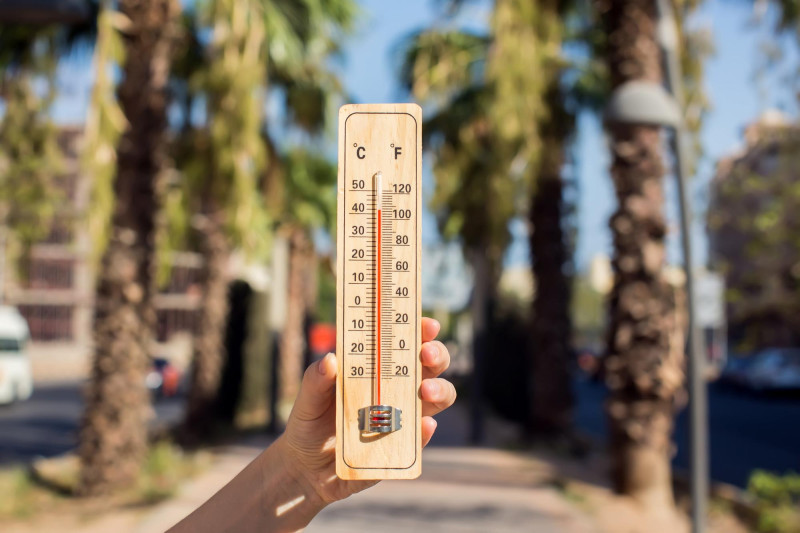 Un thermomètre dans une main