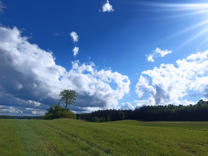 the sun shines brightly over a grassy field