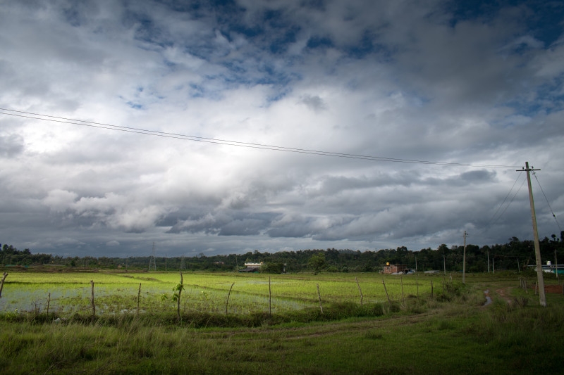 Photos gratuites de adobe lightroom, agriculture, agriculture durable