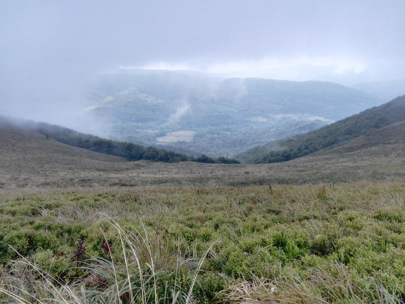 montagnes, french, pologne, fog, rainy, nature, vert, tatra, vue de dessus, tatry, des arbres, paysage, randonnée pédestre, montagne, roche, noyaux, sauvage, ascenseur, nager, forrest, kajakować, serpent, bleu, mountai, pierre, l'été, ski, vacances, la re