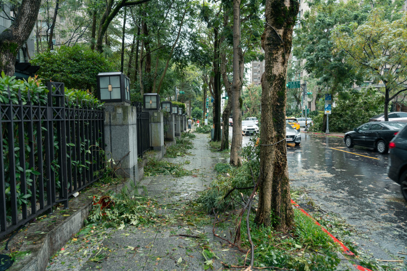 Rue de Taipei touchée par le typhon montrant des branches tombées et des débris.