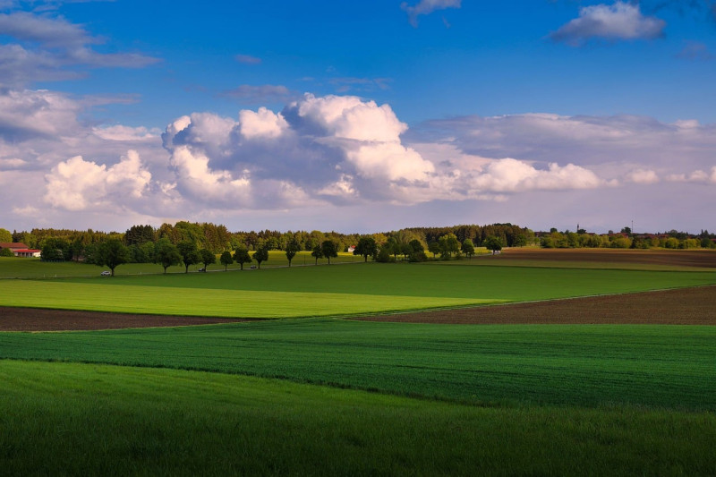 ciel, nuage, champs, arbres, paysage, nature, été, printemps, agriculture, cumulus, horizon, distance, couleurs vives, après-midi, silhouette, vue, soir, rural, écosystème, audio, visuel
