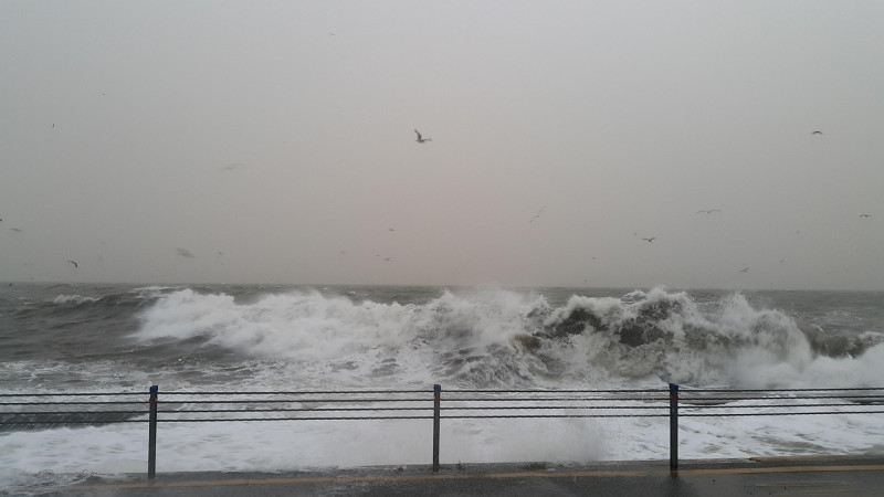 mer, nature, l'eau, naturel, vague, tempête, écologie, paysage, vent, environnement, journée, scène, nuageux, inonder, conditions météorologiques, automne, hiver, pluie, rue, catastrophe, endommager, changement, danger, météorologie, gris changement, gris