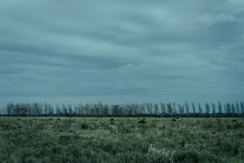 Photos gratuites de agriculture, ambiance sombre, ambiente naturale