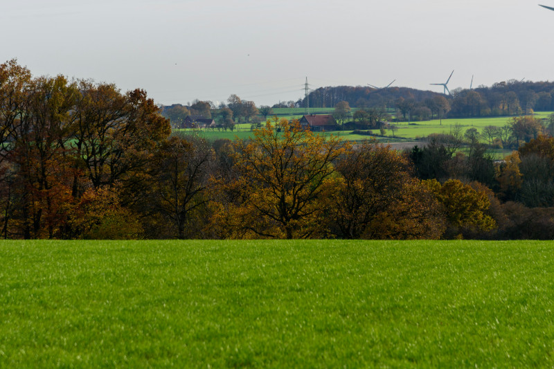 Green field with trees and distant wind turbines